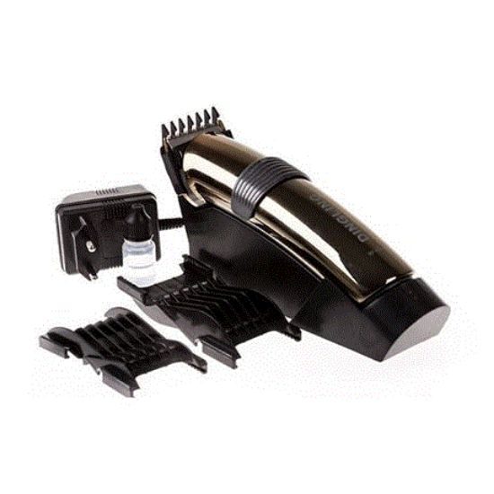 تصویر  ماشین اصلاح دینگ لینگ مدل Ding Ling RF-609C
