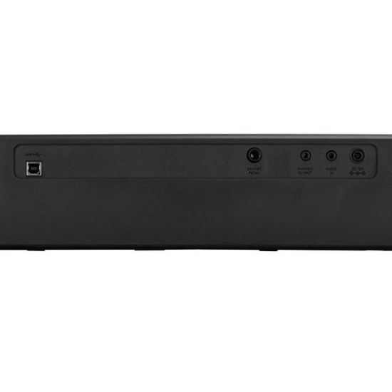 s100 compact digital